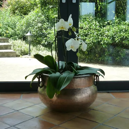 Country House Barone D'Asolo-3